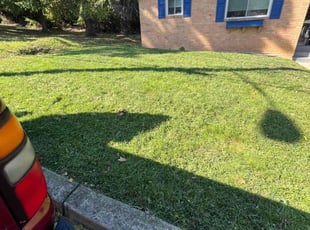 Jonathan H.'s Yard Cutting service result