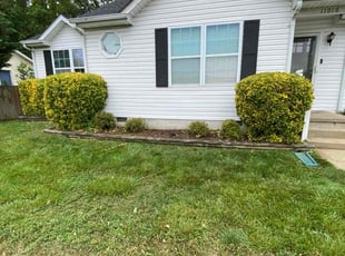 Bush Trimming by Guadalupe Flores for Alex B. in Fredericksburg, VA