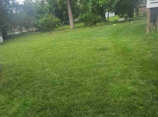 Leaf Removal by Travis Smith- Armwood for Michael P. in Baltimore, MD