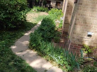 Cleanups by Tom Davis for Mikki H. in Denver, CO