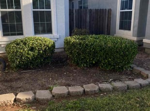 Bush Trimming by Uriel Aldrete for Colleen C. in Sacramento, CA