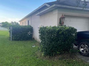 Bush Trimming by Cari Butler for Verna J. in Land O' Lakes, FL