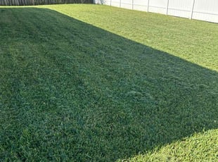 Carliss M.'s Yard Cutting service result