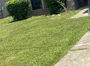 Bush Trimming by Charles Gulley for Avery H. in Navarre, FL
