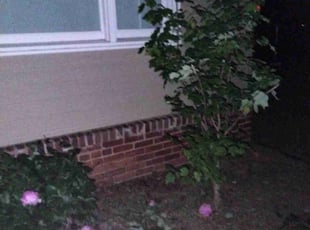 Bush Trimming by David Pope Jr for LAURA` S. in Mount Holly, NC