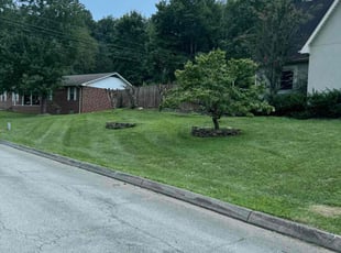 Daniel J.'s Lawn Maintenance service result