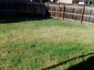 Cleanups by Bryan May for Reggie M. in San Antonio, TX