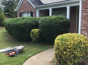 Bush Trimming by Bryan Duffey for Kala M. in Loganville, GA