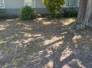 Leaf Removal by Thomas Farley for Julia A. in Bradenton, FL