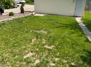 Weeding by Jevonta Johnson for Tal A. in Milwaukee, WI