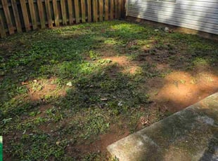 TJ B.'s Cleanups service result