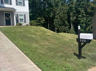 Kelly G.'s Lawn Service service result