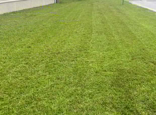 Christopher W.'s Lawn Mowing Service service result