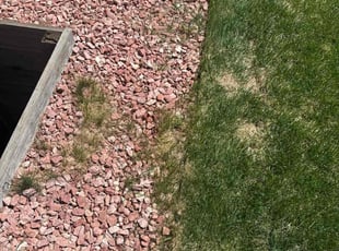 Weeding by Justin Fiedler for Gary M. in Colorado Springs, CO