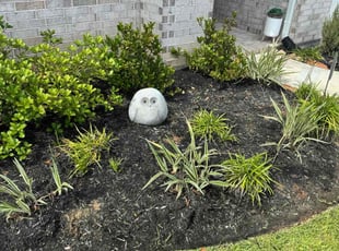 Weeding by Edwin Fernandez for Mary M. in Katy, TX