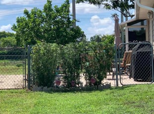 Bush Trimming by Eric Mayorga for Lucie V. in Boynton Beach, FL