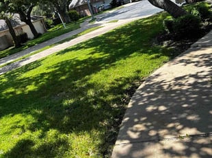 George T.'s Lawn Maintenance service result