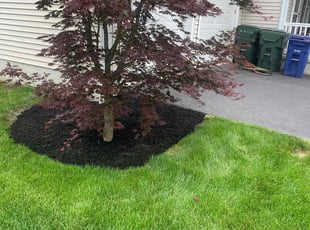 Mulching by B.J. Schuetz for Elaine w. in New Albany, OH