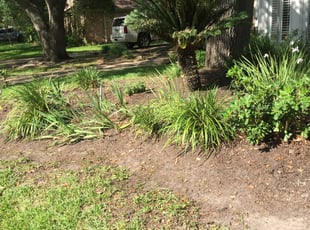 Cleanups by Oswaldo Hernandez for Margo S. in Katy, TX
