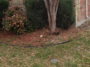 Cleanups by Abelino Ramos for Stewart S. in Fort Worth, TX