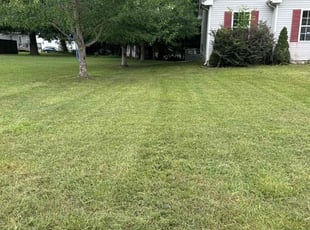 Cronell M.'s Lawn Service service result