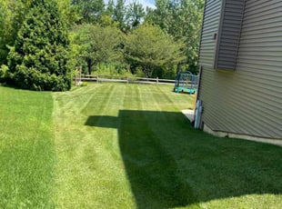 Aaron B.'s Grass Cutting service result