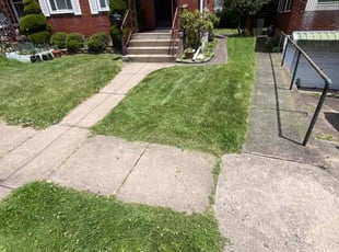 Lori W.'s Lawn Mowing service result