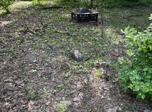 Weeding by Kevin Portillo for Chen C. in Rockville, MD