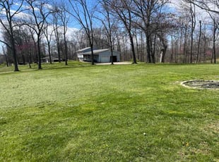 Allison F.'s Grass Cutting service result