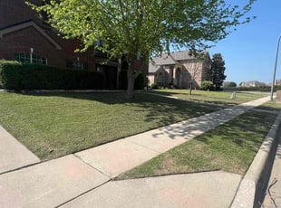 Marsha D.'s Lawn Maintenance service result