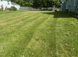 Janis K.'s Grass Cutting service result