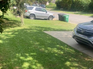 Denise L.'s Lawn Service service result