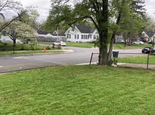 Elizabeth L.'s Grass Cutting service result