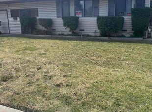 Bush Trimming by Juan Martinez for Richard C. in Stockton, CA