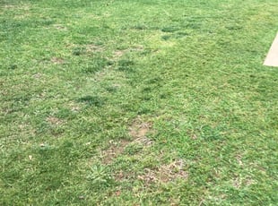 Cleanups by Emma Perales for Jason K. in Fort Worth, TX