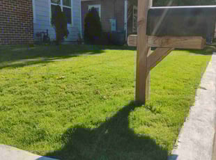 lara c.'s Lawn Mowing Service service result
