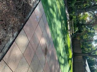 Sendy P.'s Yard Cutting service result