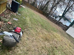 Leaf Removal by Caree Keith for Fernando T. in Temple Hills, MD