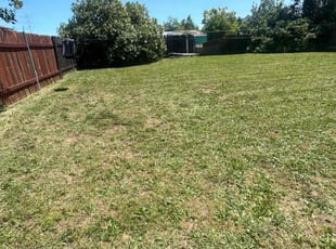 Cleanups by Gabriel Aldrete for Audrey L. in Sacramento, CA
