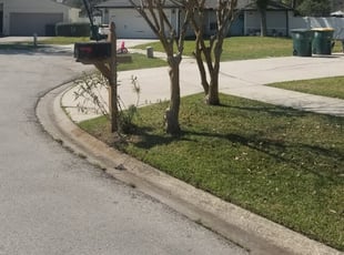 Bush Trimming by Andrew Alsobrook for Phyllis R. in Jacksonville, FL