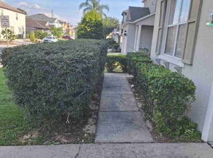 Bush Trimming by Angel Vazquez for Debbie B. in Davenport, FL