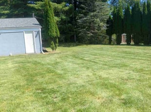 Kristy A.'s Lawn Mowing service result