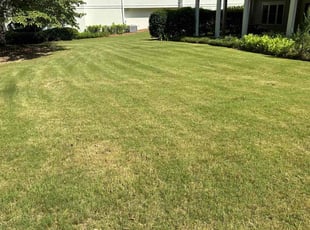 Sue P.'s Lawn Service service result