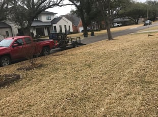 Leaf Removal by Emir Catalan for John W. in Dallas, TX