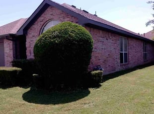 Bush Trimming by Valentina Toledo for Clarence R. in DeSoto, TX