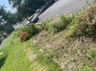 Weeding by Evans Ogamba for Allen S. in Harrisburg, PA