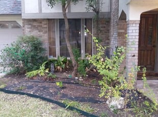 Leaf Removal by Benjamin Garza for Jesse V. in San Antonio, TX