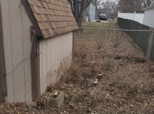 Cleanups by Chris Steinhour for Amber -. in Mifflin Township, OH