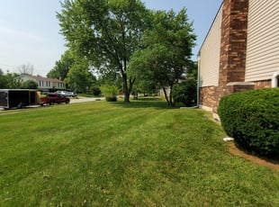 Bush Trimming by Jon Kahrhoff for Christopher l. in Greenwood, IN