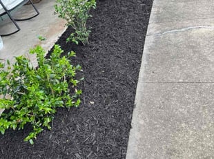 Mulching by Leonel Zecena for Jonas W. in Austin, TX